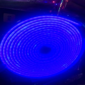 Led 12V 5m neon x- dương