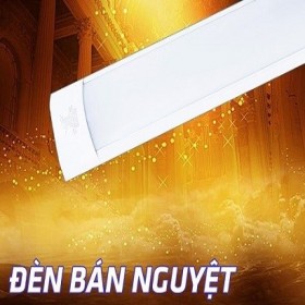 Dây mạng MPE 305m CAT 6