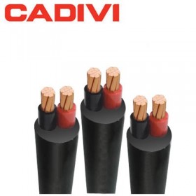 Cáp CVV 2x4.0 CADIVI (100m) 0