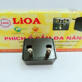 phích chuyển lioa D5 0